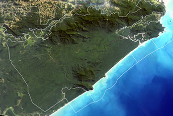 Mosaico da Juréia